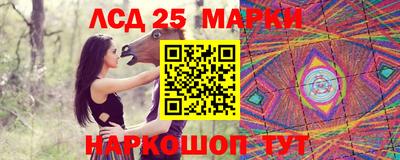 a pvp Свободный